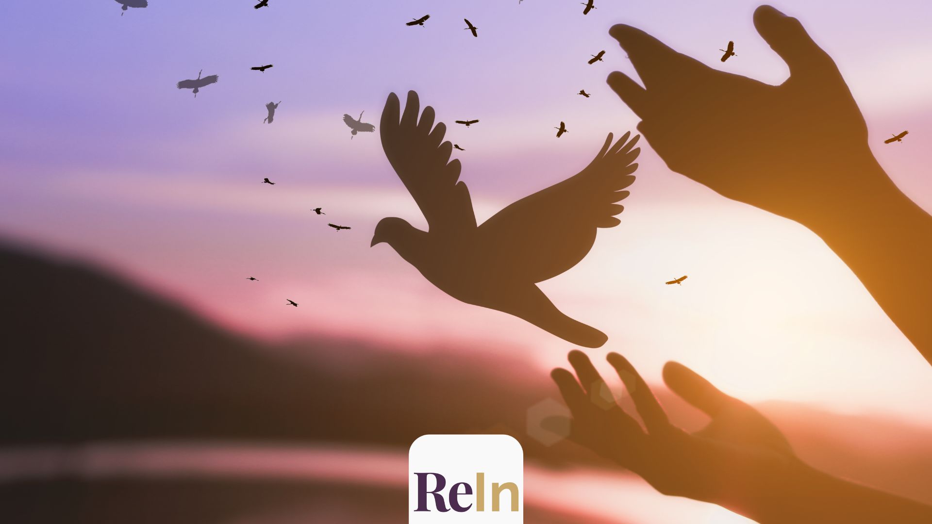 Renacer Integral: paz con rostro humano, ética y esperanza